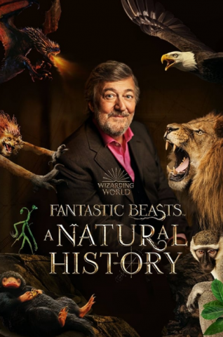 فيلم Fantastic Beasts: A Natural History 2022 مترجم اونلاين